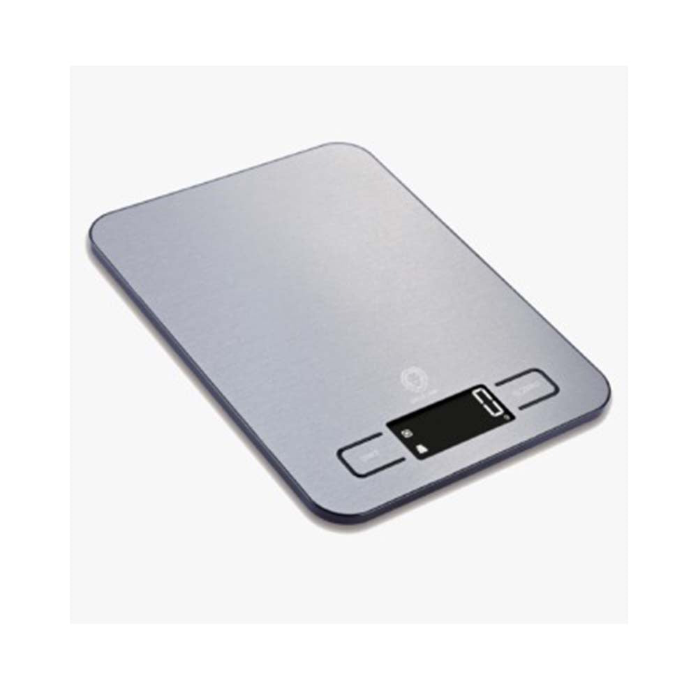 GREEN Lion Electric Scale 10KG Max-silver